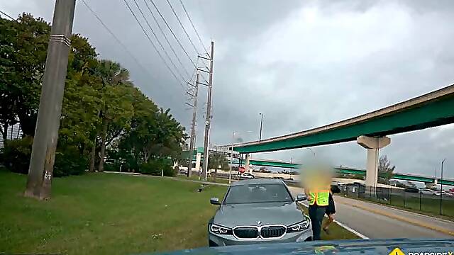Gypsy Roses Roadside Payment