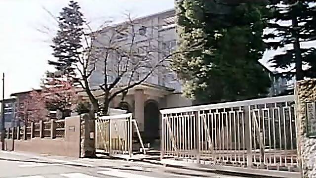 Japanese Videos